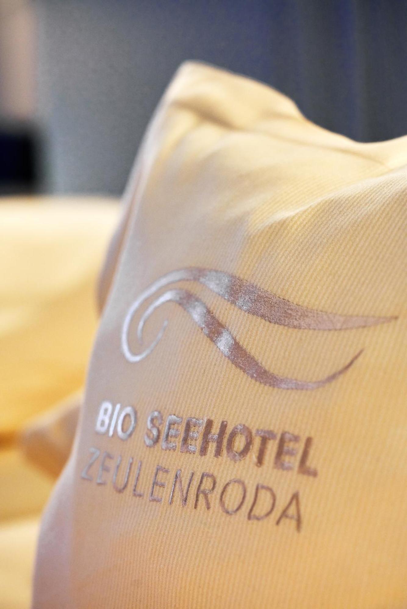 Bio-Seehotel Zeulenroda エクステリア 写真
